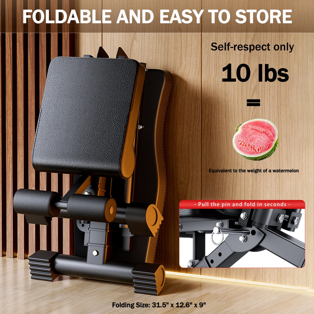 Weight Bench for Full Body Workout