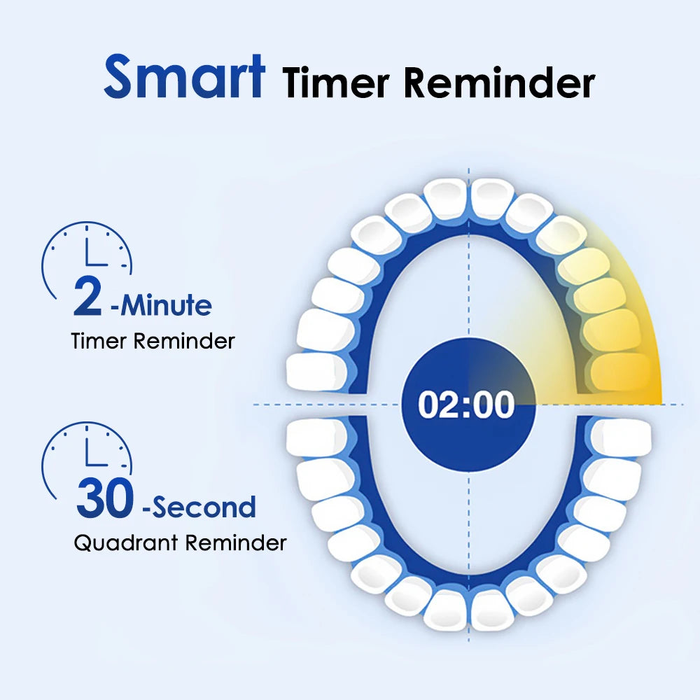 Smart Rotating Timing Electric Toothbrush, Rechargeable
