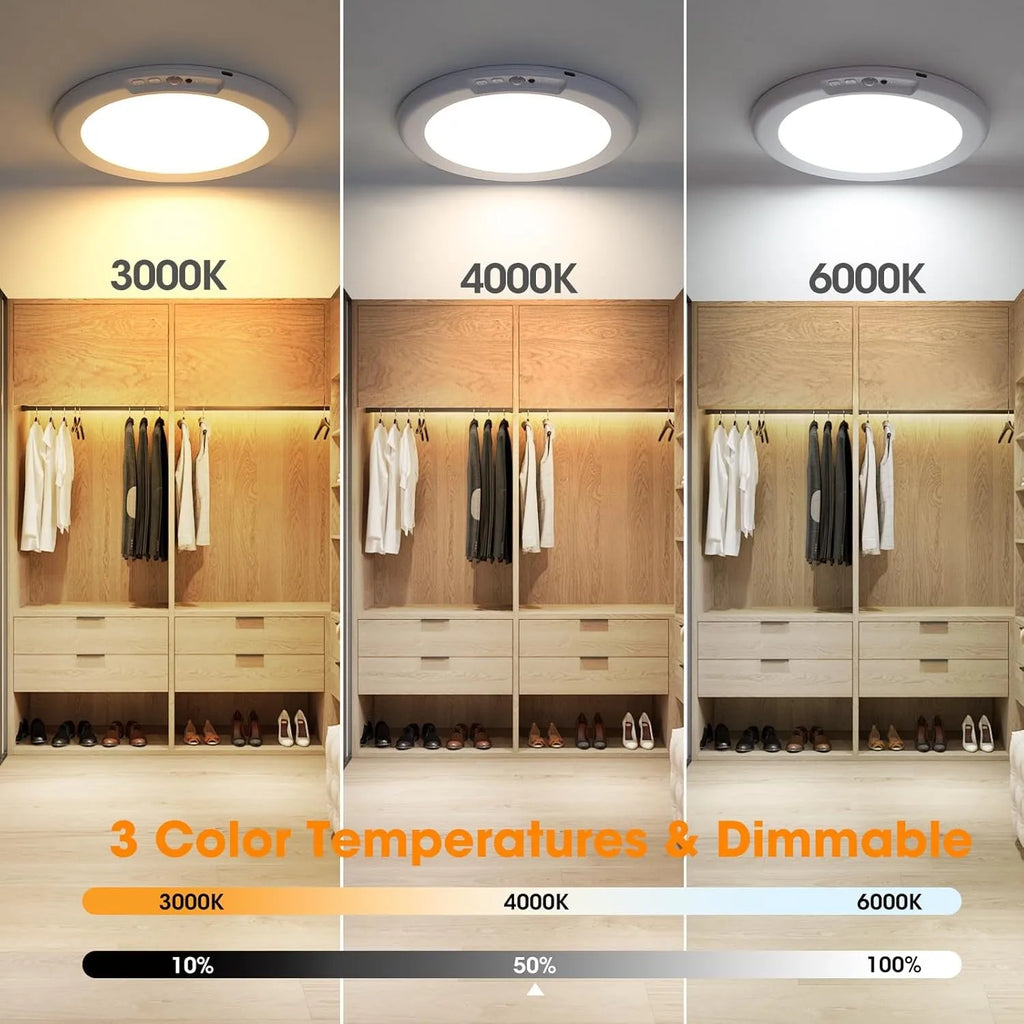 Battery Motion Sensor Ceiling Light