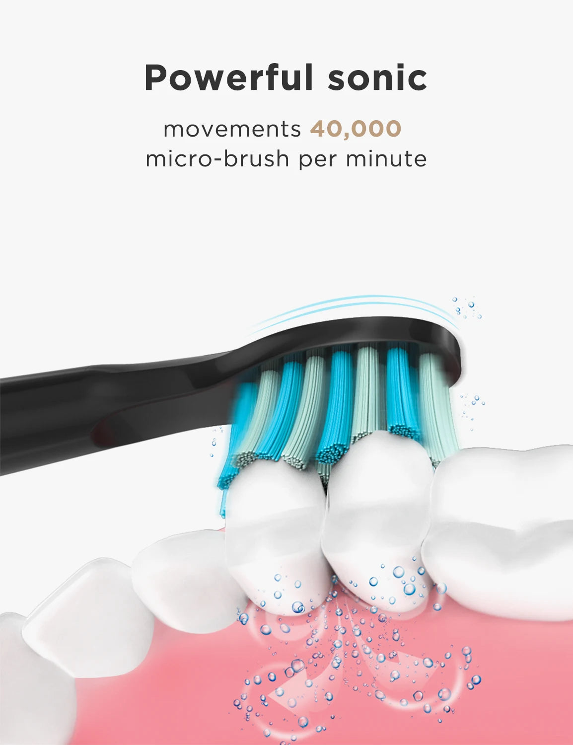 Sonic Electric Toothbrush