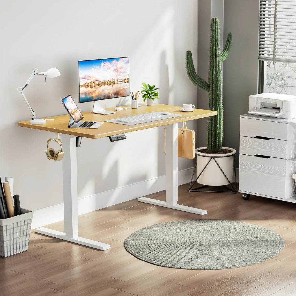 55x24 Inch Electric Office Computer Desk