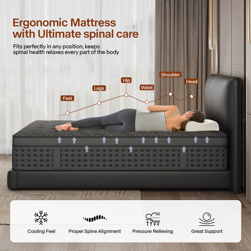 12/14-Inch Memory Foam Spring Mattress