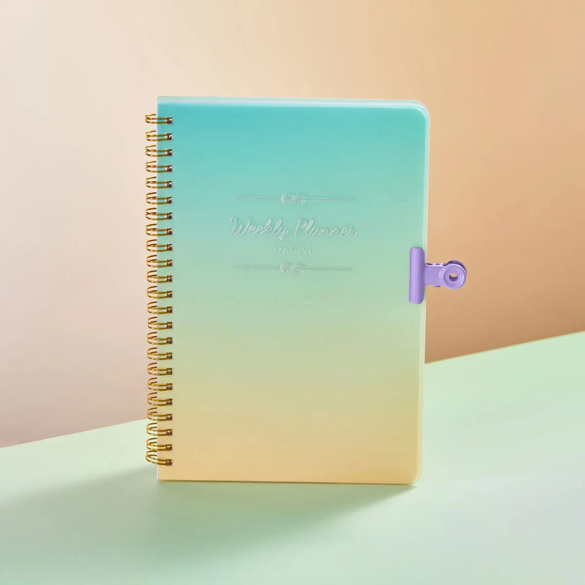 Planner Schedule Agenda Efficiency Notebook